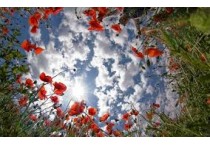 CONSIGLI AUTUNNO/INVERNO